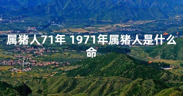 属猪人71年 1971年属猪人是什么命